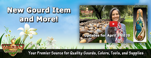 April 8 2020: New Gourd Item and More!