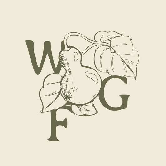 September 24, 2024: 🍁 Fall colors for $6 today only!