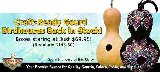 January 12, 2022: Craft-Ready Birdhouses Now Available!