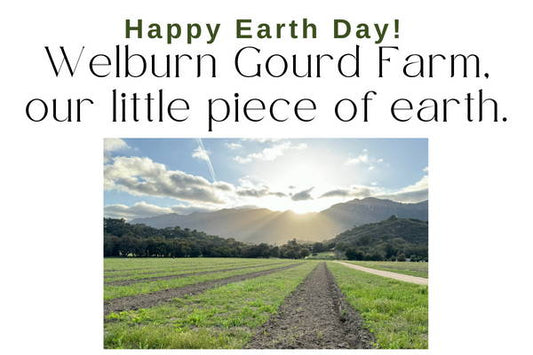April 20, 2024: 🌎💚 Get fresh gourds from our new harvest + Happy Earth Day!