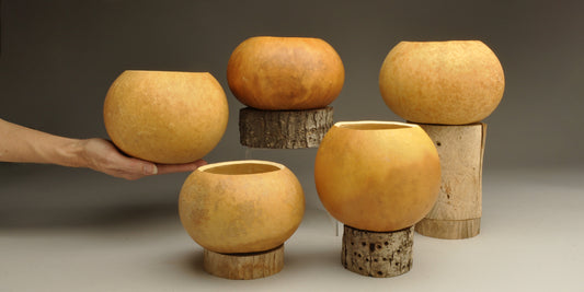 Premium Gourd Bowls
