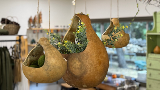 Standard Gourd Baskets