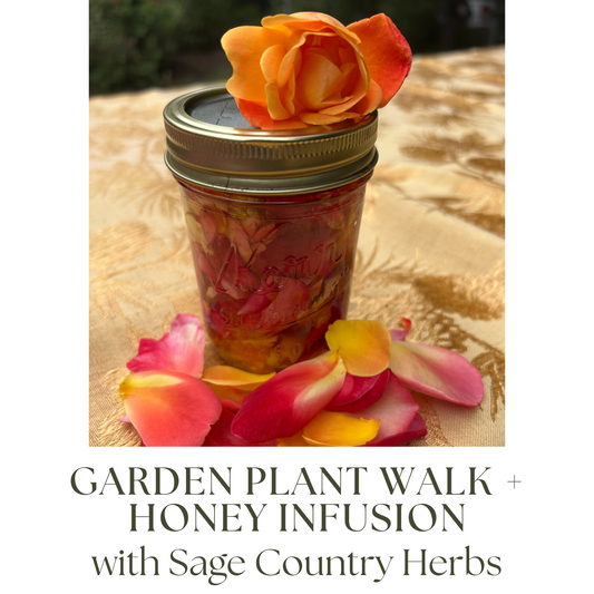 Garden Plant Walk + Honey Infusion