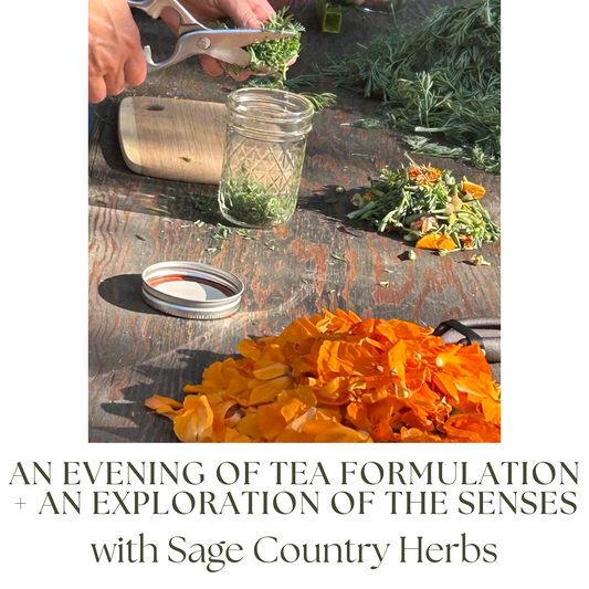 An Evening of Tea Formulation + An Exploration of the Senses