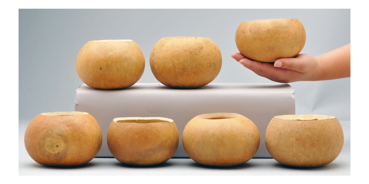 Bargain Quality Gourd Bowls
