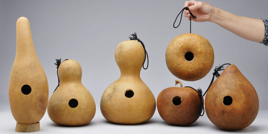 Standard Quality Birdhouse Assortment