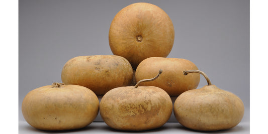 Standard Canteen Gourds