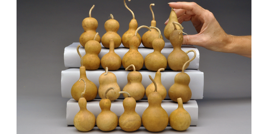 Premium Jewelry Gourds