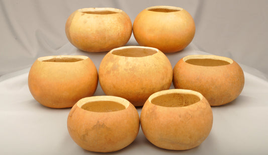 Premium Gourd Bowls