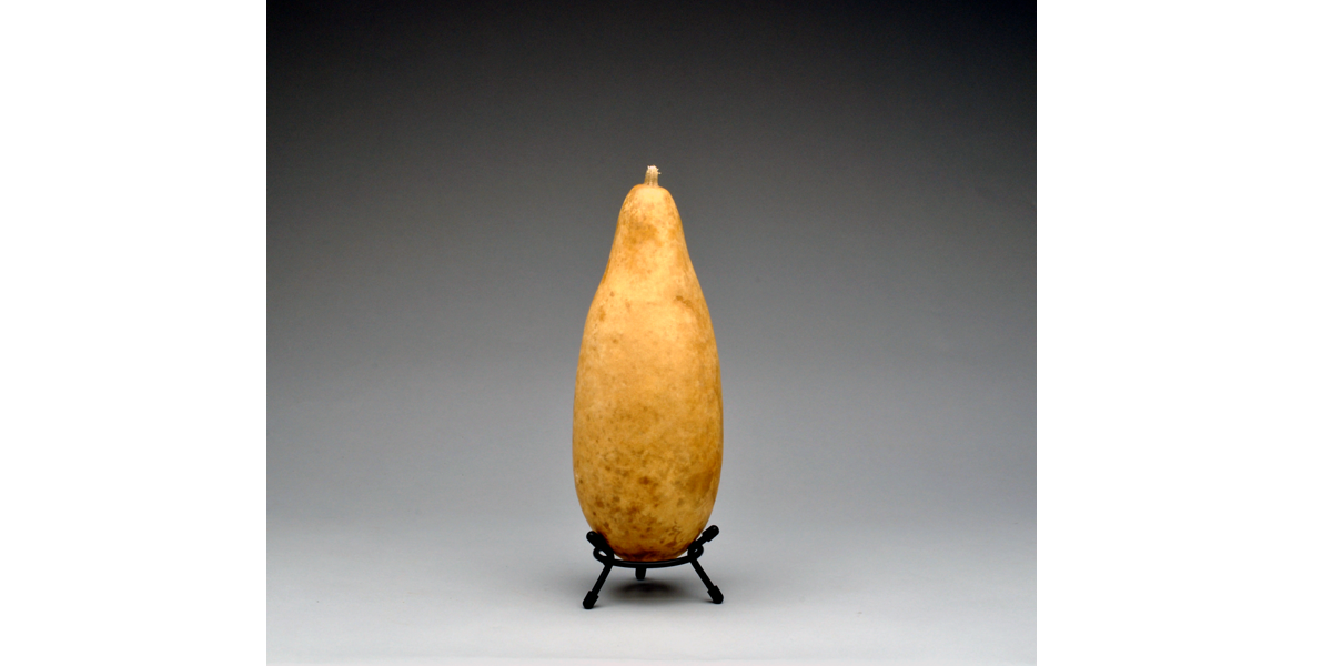 A Small Size gourd fits in the 3 inch Metal Gourd Stand!