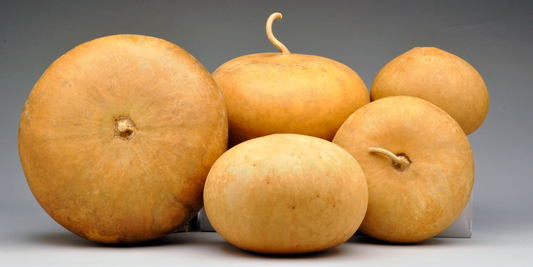 Premium Canteen Gourds