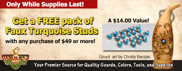 June 13, 2020: Free 20-pack of Turquoise studs, plus New GloTracer video and more!