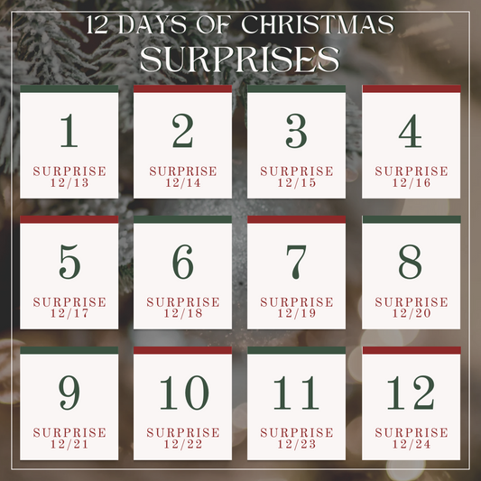 12 Days of Christmas Surprises