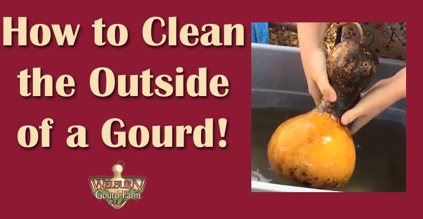 How to Clean the Outside of a Gourd