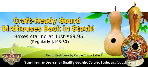 March 19, 2022: Our Popular Craft-Ready Birdhouse are Back in Stock, plus Get a FREE Ink Dye or Transparent Acrylic!