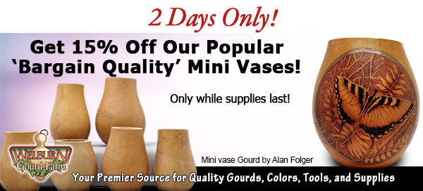 February 28, 2023: 1 day only, get $10.00 Off 'Bargain Quality' Mini Vases, Free Gourd Glue and more!
