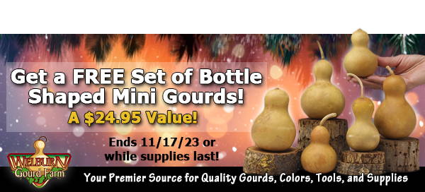 November 16, 2023: Get a Set of 6 Bottle Shaped Mini Gourds for FREE, 2 Days Only!