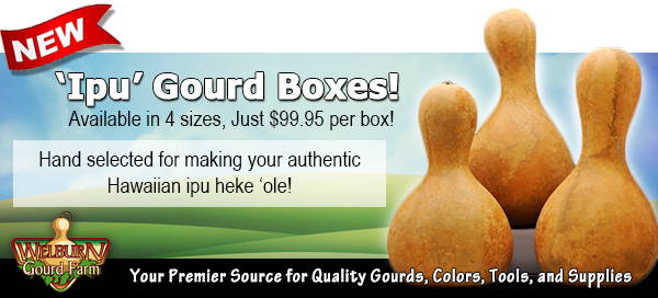 Computer Ipu Box March 3, 2021: New “Ipu” Box, Plus FREE Patterns! - Welburn Gourd Farm
