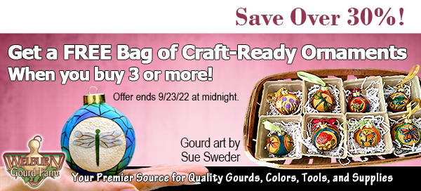 September 21, 2022: Get a FREE Craft-Ready Ornament Set with this Special Offer, plus Get 15% Off Mini Vases!