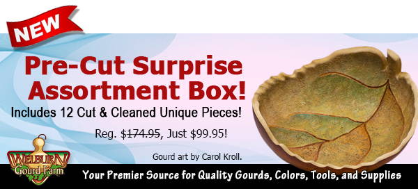 October 7, 2023: New! Pre-Cut Surprise Assortment Gourd Box - Only available for a limited time!