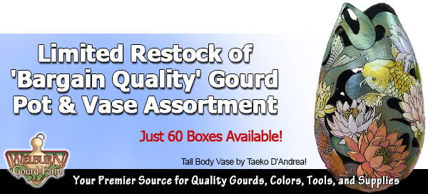 March 9, 2023: Limited Restock of 'Bargain Quality' Pot & Vase Assortment!