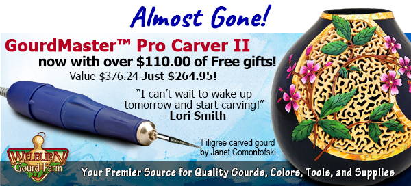May 26, 2021: Pro Carvers are almost gone, plus FREE Video project!