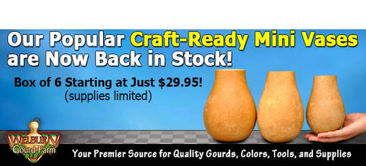 March 6, 2021: Craft-Ready Mini Vases are back!