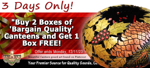 December 9, 2023: Buy 2 Boxes of 'Bargain Quality' Canteen Gourds & Get 1 Box Free!