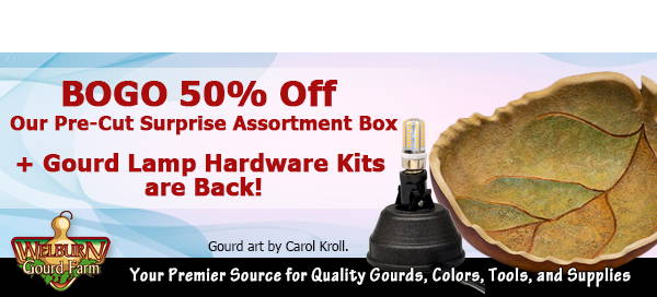 March 23, 2024: BOGO 50% Off Our Pre-Cut Surprise Box + Gourd Lamp Hardware Kits are Back!