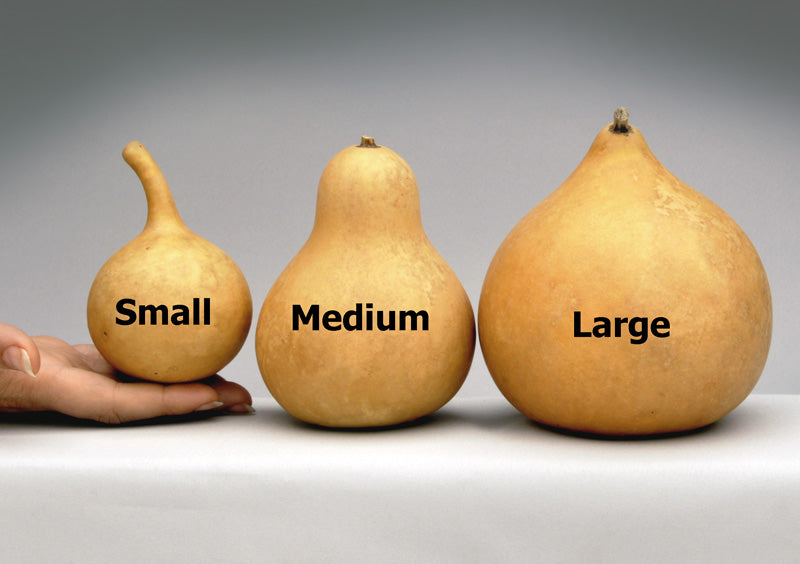 Mini & Jewelry Gourds - Welburn Gourd Farm