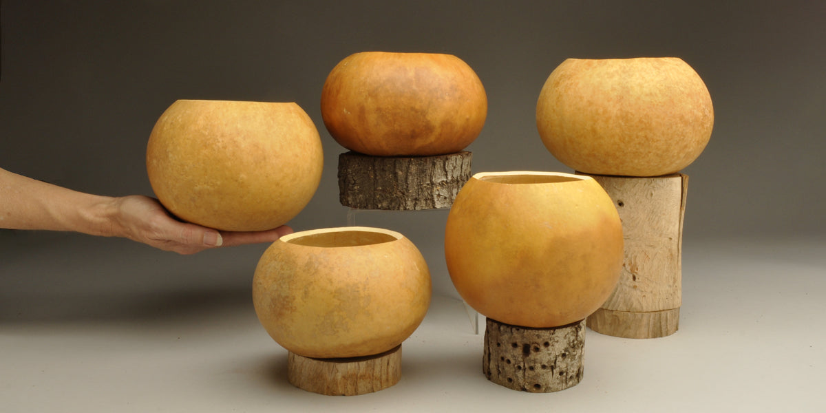 Gourd Bowls