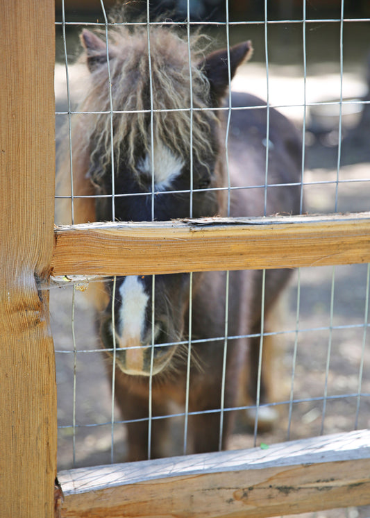 Memories2Life Greeting Cards