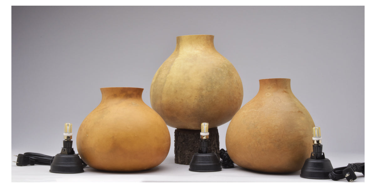 Craft-Ready Gourd Lamp Kits - Welburn Gourd Farm