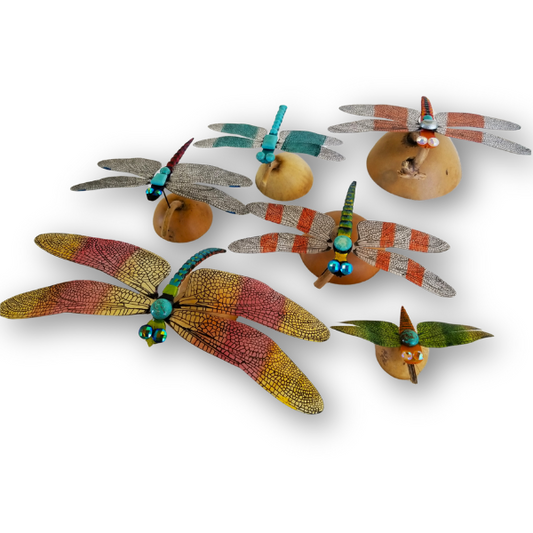 Dragonflies by Ken Poole