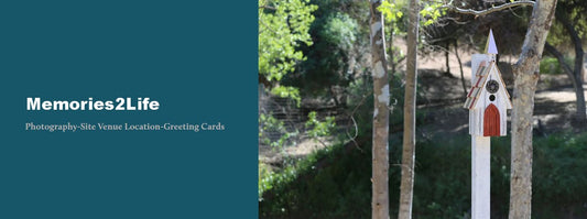 Memories2Life Greeting Cards