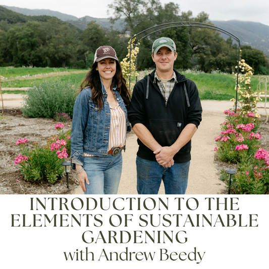 Introduction to the Elements of Sustainable Gardening with Andrew Beedy
