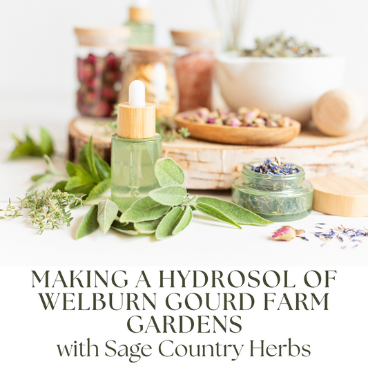 Making a Hydrosol of Welburn Gourd Farm Gardens