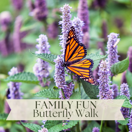 Family Fun: Butterfly Walk
