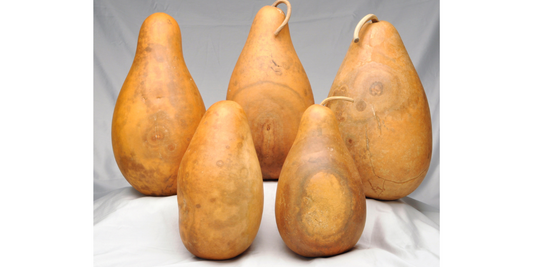 Standard Tall-Body Gourds