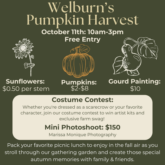 Welburn's Pumpkin Harvest October 11th
