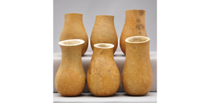 Mini Vases