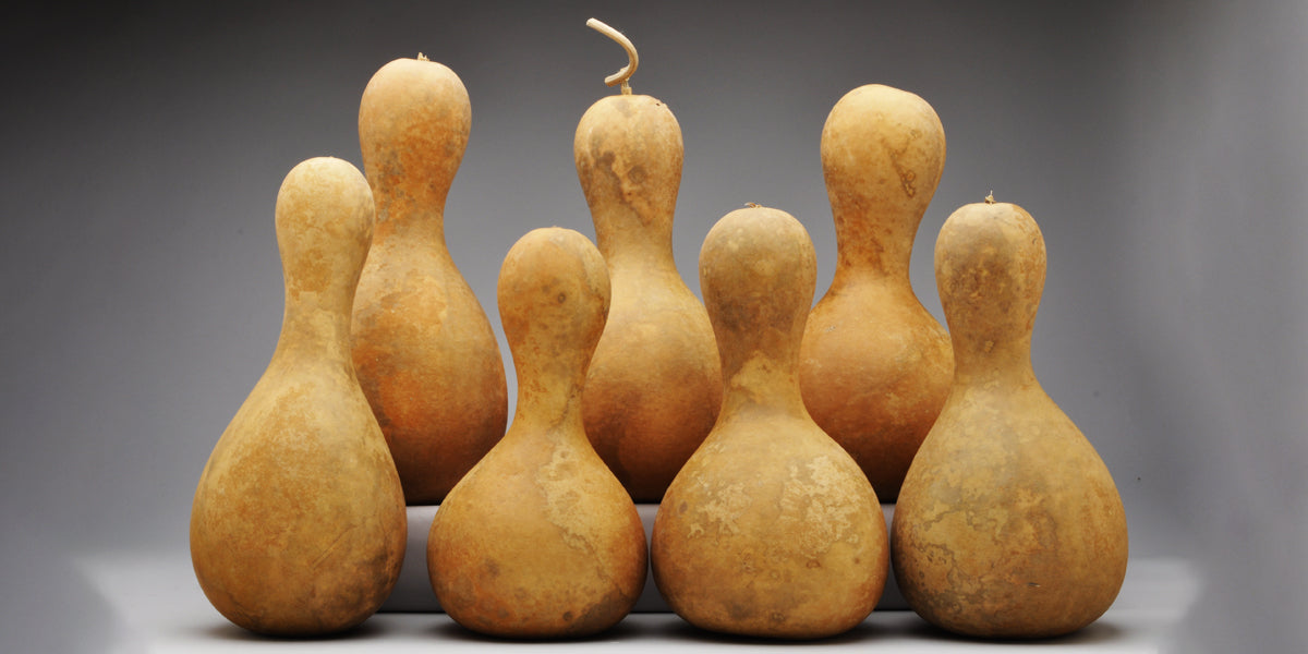Gourds (by Shape) Welburn Gourd Farm