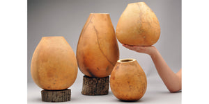 'Bargain Quality' Craft-Ready Gourd Pot & Vase Assortment