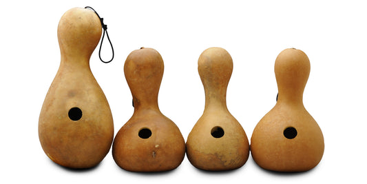 Premium Bottle Gourd Birdhouses