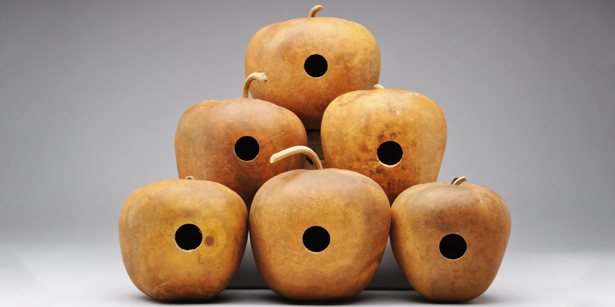 Box of 6 Apple Gourd Birdhouses 6-7.9" in diameter