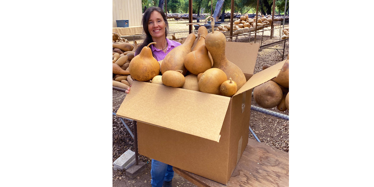Practice Gourd Box - Welburn Gourd Farm