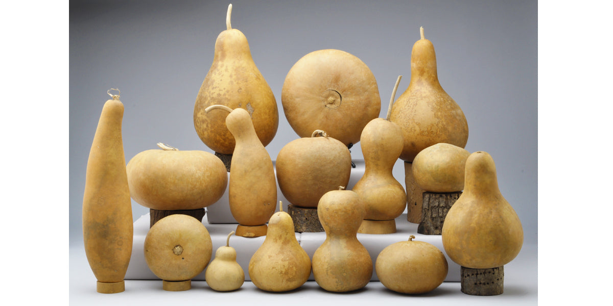 Assortment Gourd Box Welburn Gourd Farm