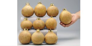 Craft-Ready Gourd Ornaments