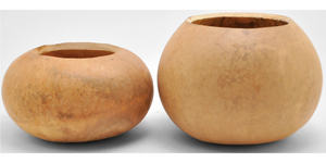 Gourd Bowls, Pre-Cut and Craft-Ready