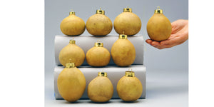 Craft-Ready Gourd Ornaments